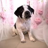 Nora