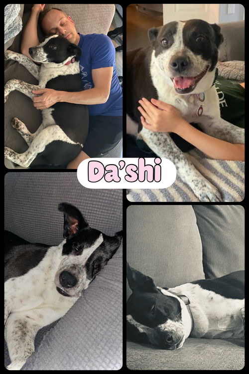 Da'Shi