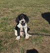 Tucker