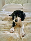Tucker