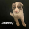 Journey