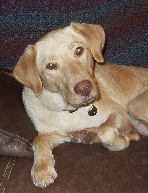 Ruby