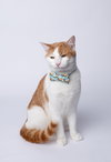 Figaro