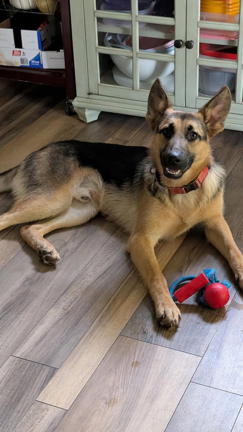 Max