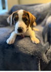 Lenny
