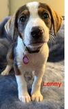 Lenny
