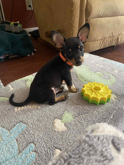 Cooper