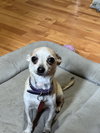 Chloe