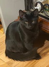 Jonesy