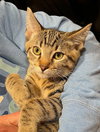 Milo