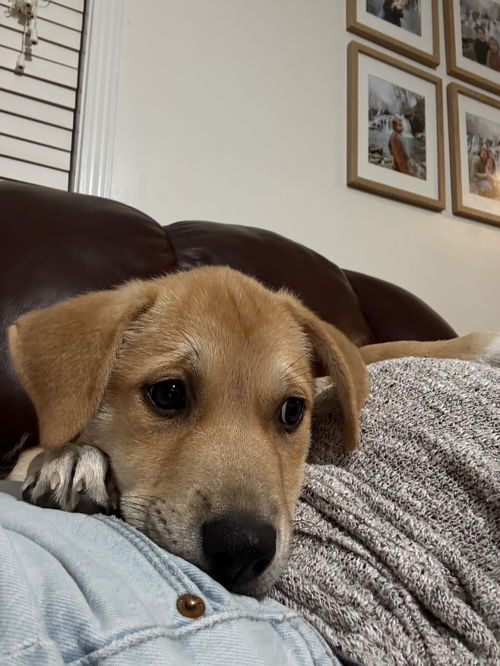 Tasha