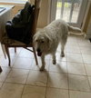 Abby