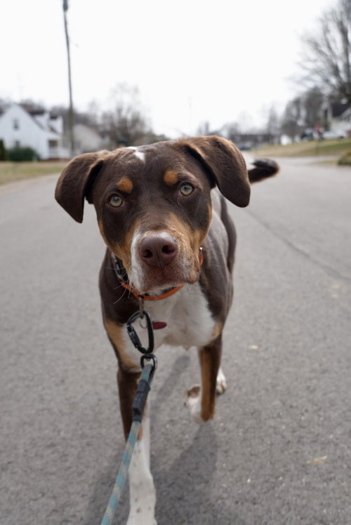Charlie