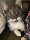 Oliver