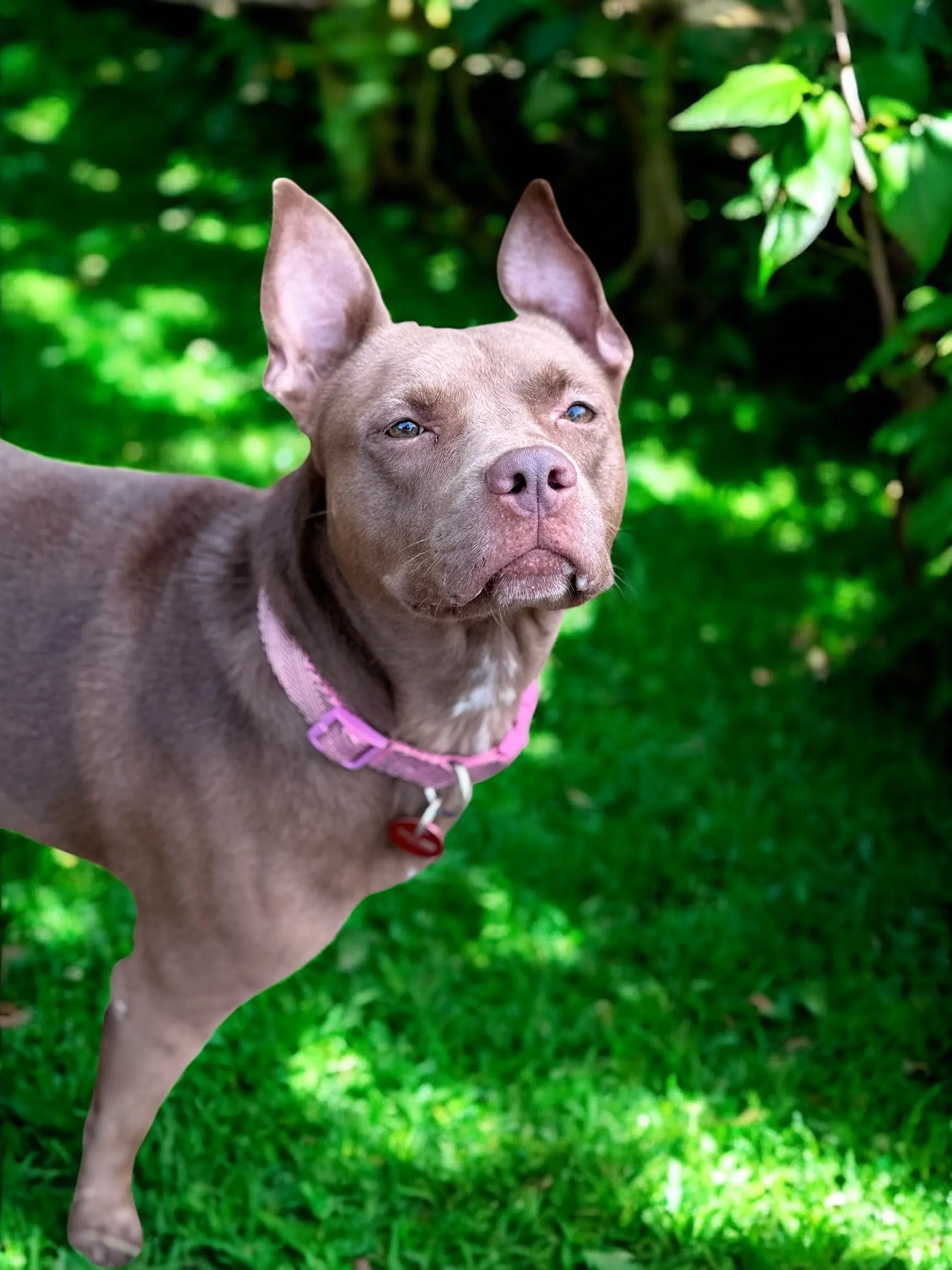 Nora image 2
