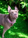 Nora