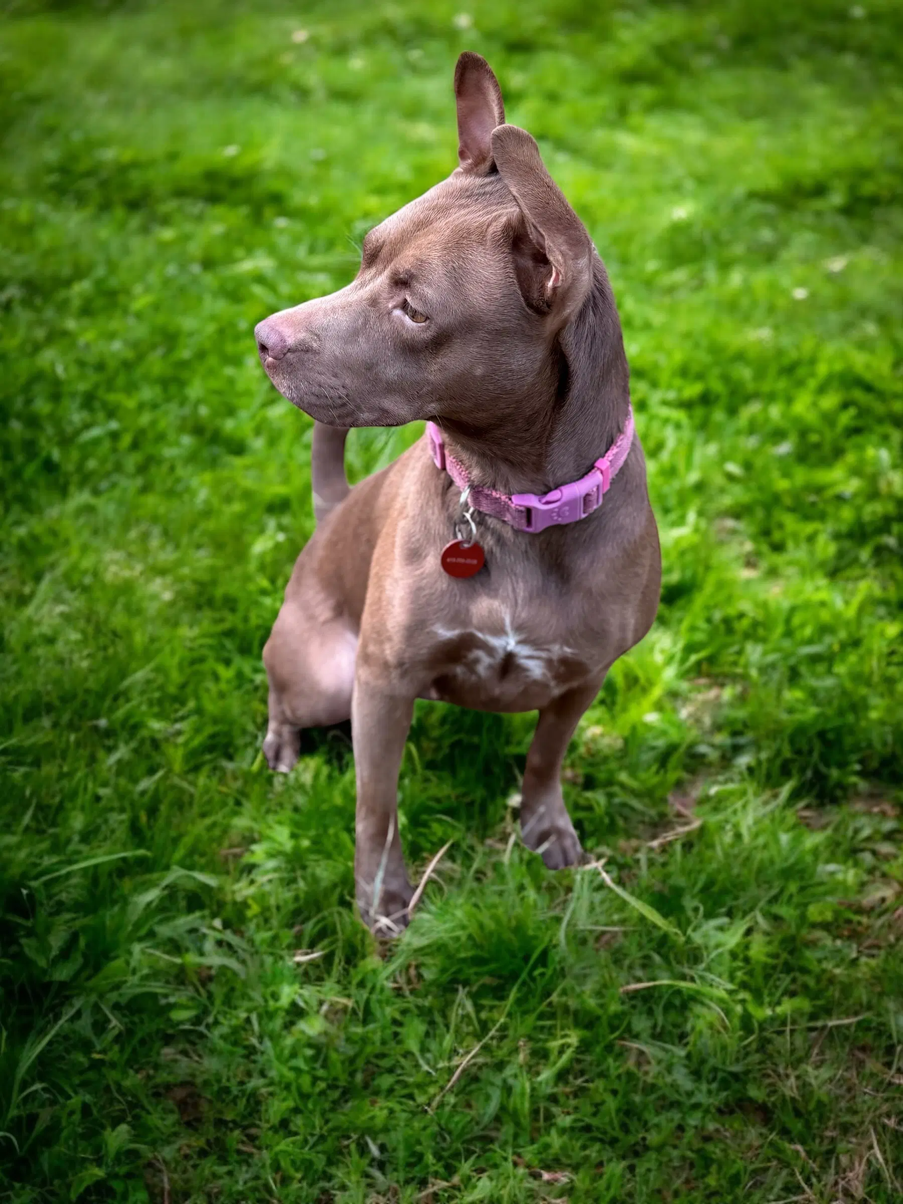 Nora image 4