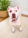 Nyla - Photo 2