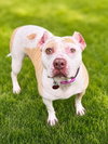 Nyla - Photo 3