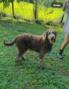 Arthur