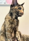 Lucy Jane