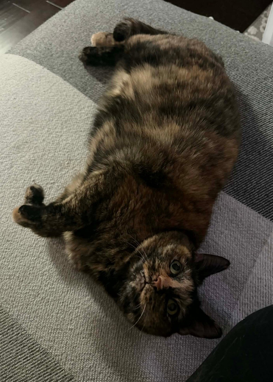 Lucy Jane