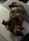 Lucy Jane - Photo 1