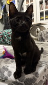 Rigby