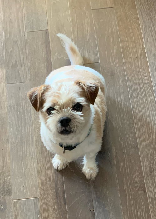 Finnegan