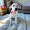 Fiona