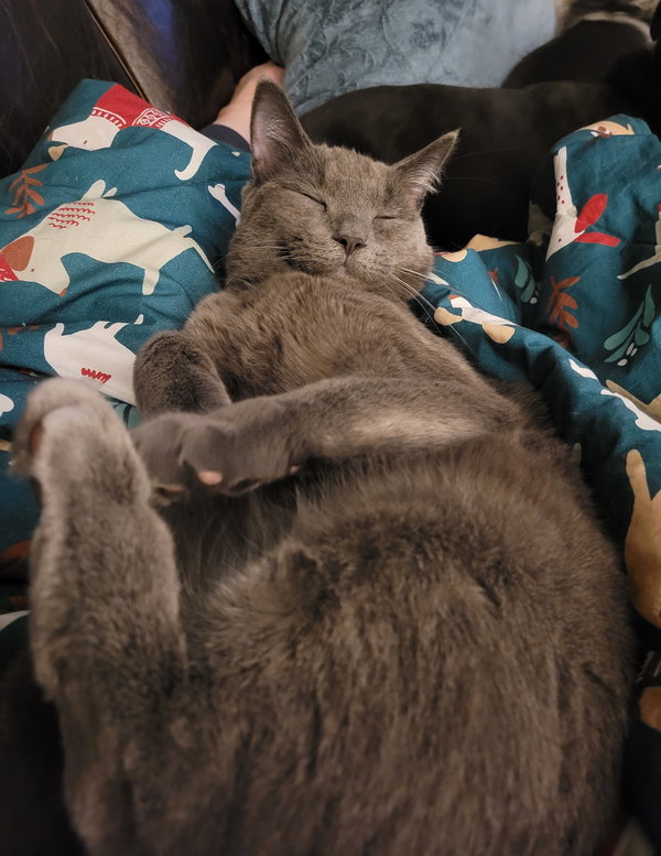 Pixel