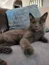 Pixel