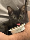 Darcy