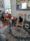 Poe - Photo 13