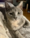 Peaches