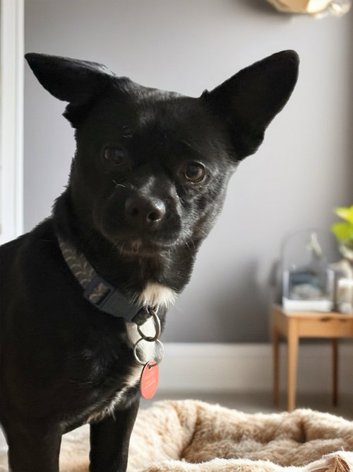 Deuce