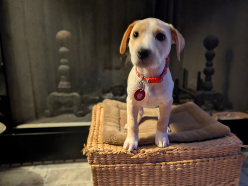 Wilma