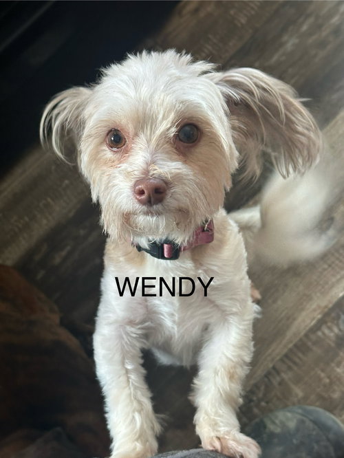 Wendy