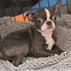 Milo