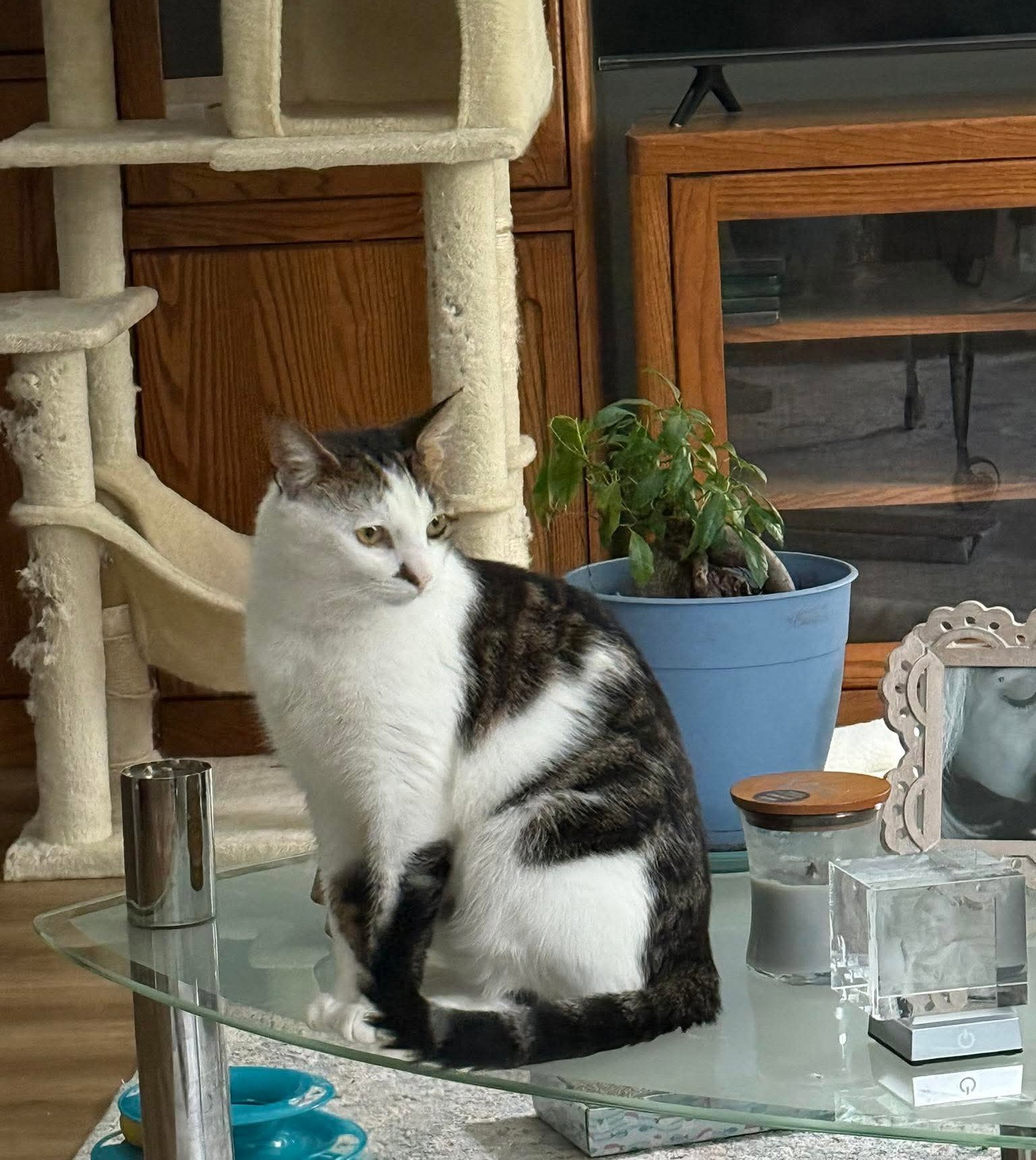 Leah Image