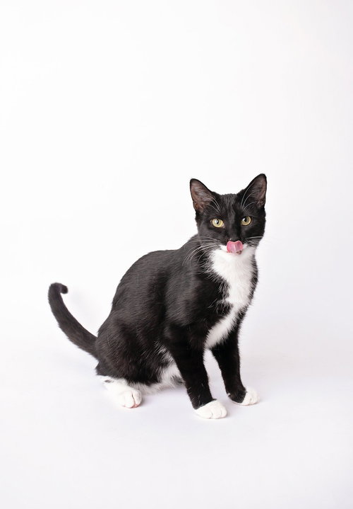 Smudge