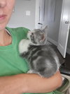Gabby