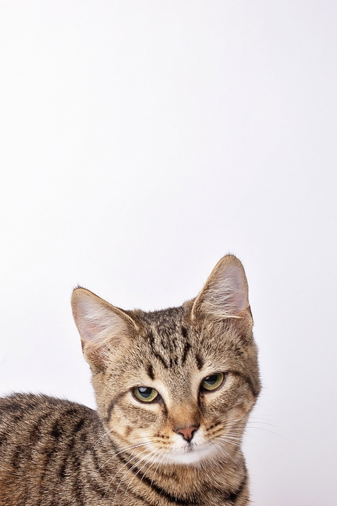 Babs Image