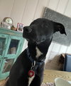 Tilly