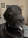 Tilly