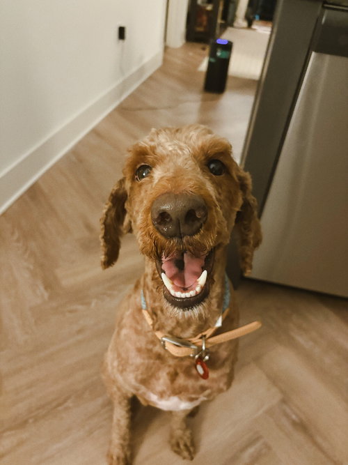 Sam