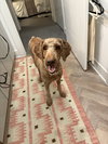 Sam