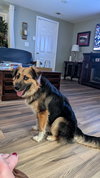 Ben