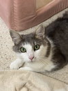 Ella