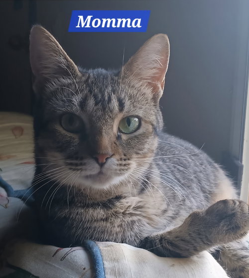 Luna